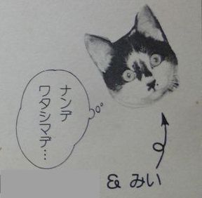 c0013922_15433648.jpg