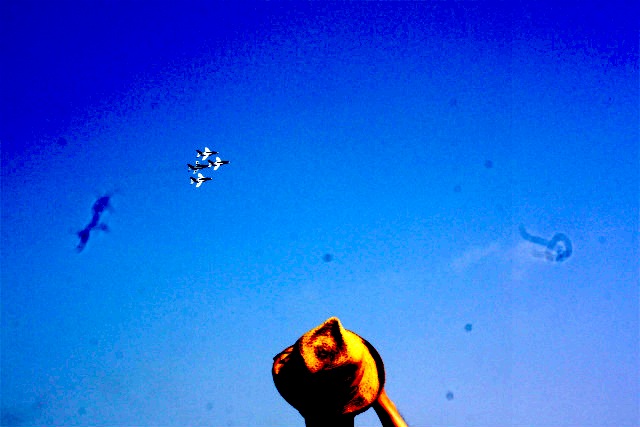 f0071226_21533586.jpg