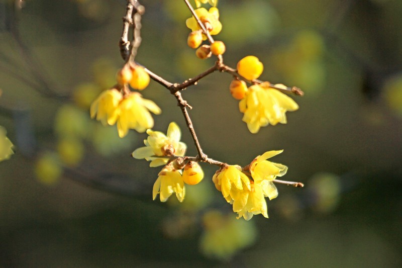 c0104227_18134267.jpg