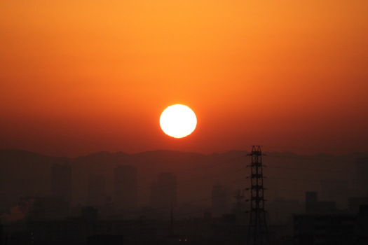 b0272531_1093731.jpg