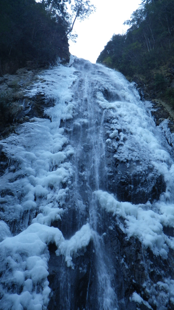 a0243432_20313929.jpg