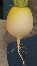 f0208737_826373.jpg