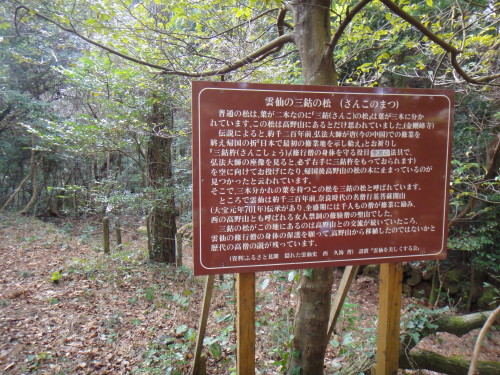 c0179351_1032725.jpg