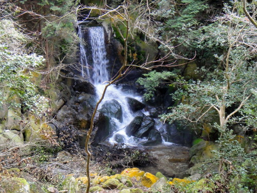 c0179351_10393590.jpg