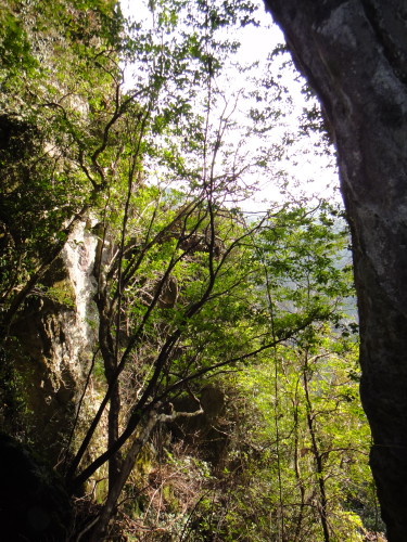 c0179351_10451875.jpg