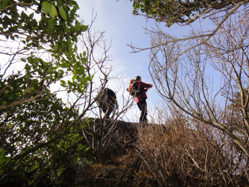 c0179351_10493362.jpg