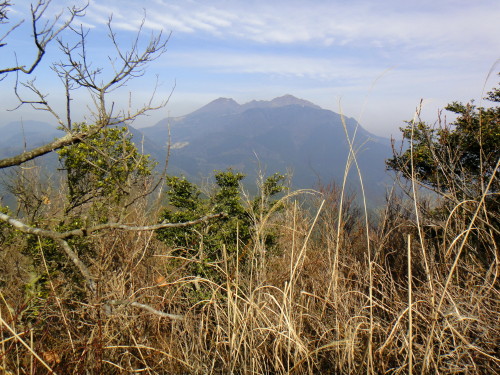 c0179351_1050256.jpg
