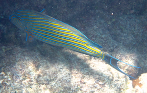 f0190653_15243315.jpg