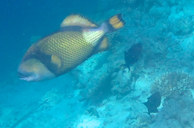 f0190653_16461258.jpg