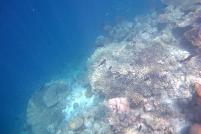 f0190653_16461824.jpg