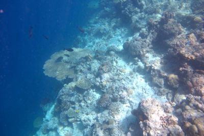 f0190653_16462441.jpg