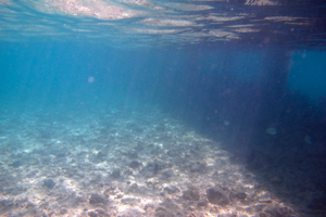f0190653_16464497.jpg