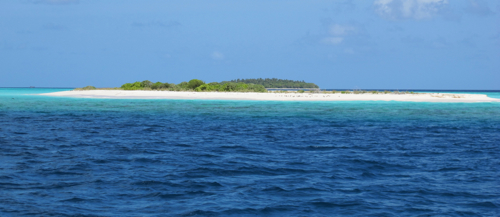 f0190653_21223241.jpg