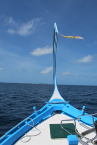 f0190653_2122485.jpg