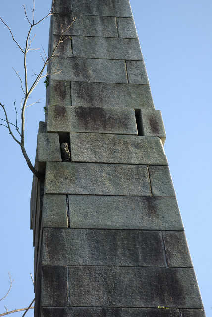 c0080357_222925.jpg