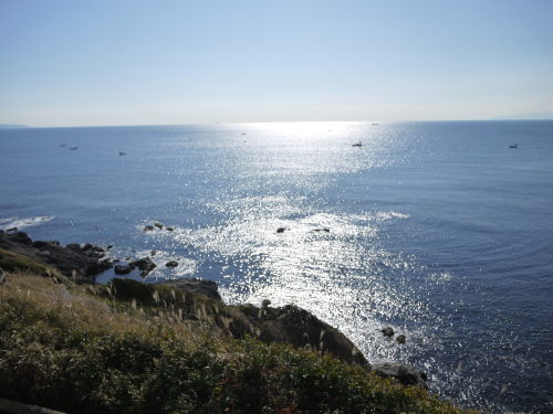 b0282061_1851427.jpg