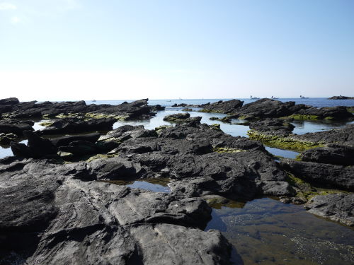 b0282061_1921330.jpg