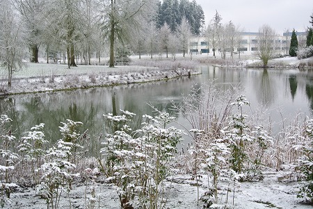 e0128367_9214855.jpg