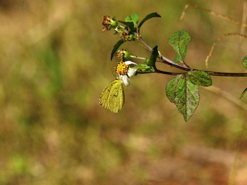 f0083281_2120880.jpg
