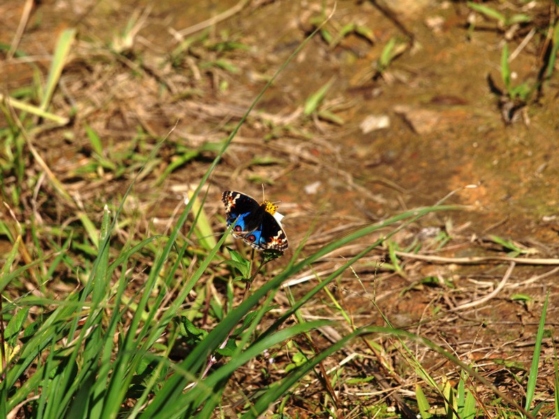 f0083281_21223481.jpg