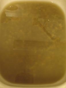 e0130185_1332228.jpg