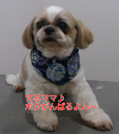 b0237894_18134336.png