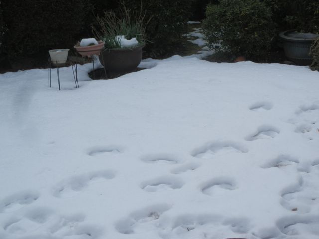 f0130894_2182614.jpg