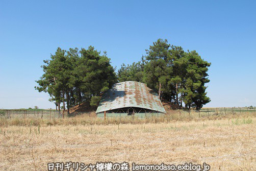 c0010496_19343847.jpg