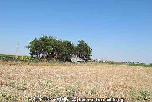 c0010496_19344950.jpg