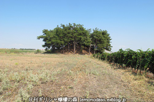 c0010496_19354223.jpg