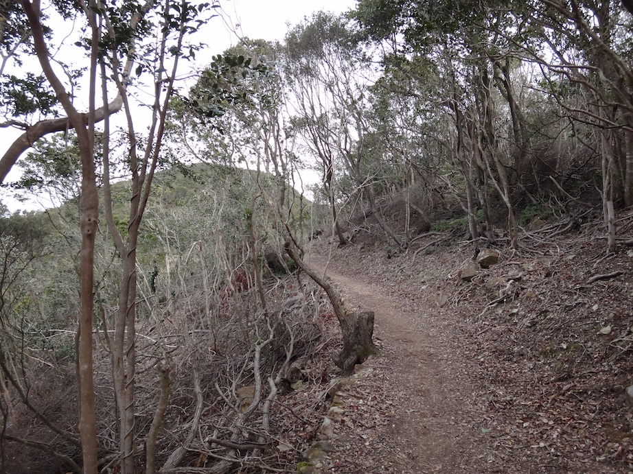 d0242696_044376.jpg
