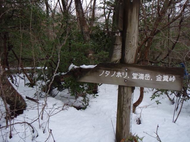 b0039898_11103328.jpg