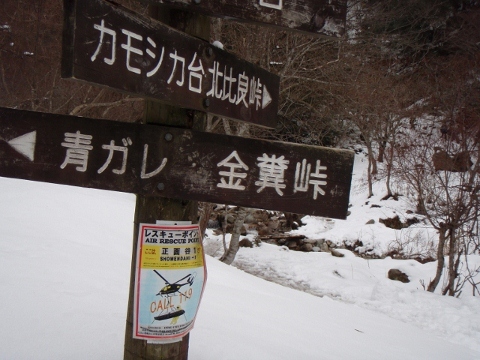 b0039898_11143850.jpg