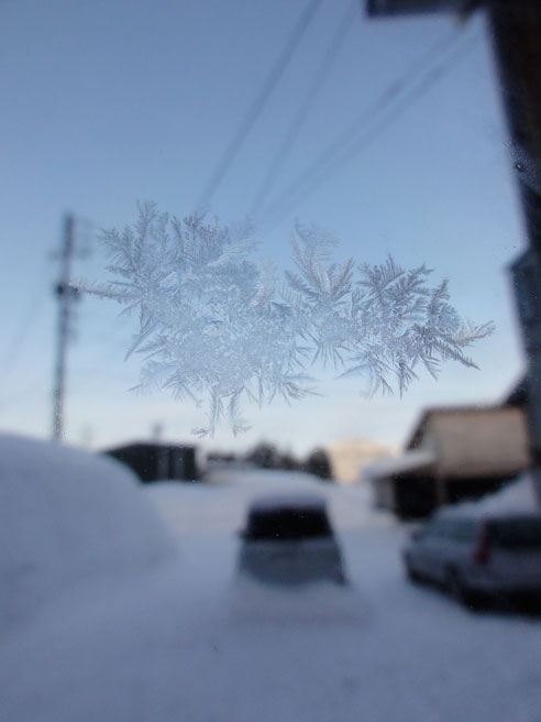 a0061599_8123100.jpg