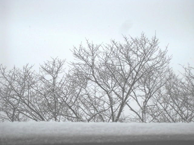 f0236201_992161.jpg
