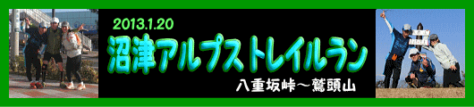 b0055202_2195342.gif