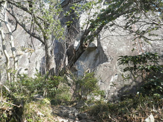 b0055202_22471216.jpg