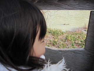 c0152002_18214367.jpg