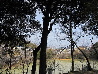 c0152002_18221027.jpg