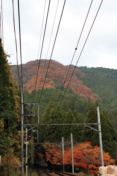 c0228404_9524791.jpg