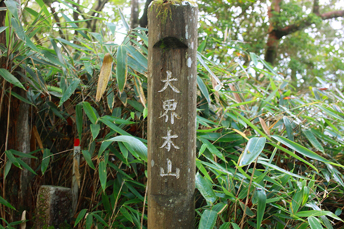 a0148606_21235612.jpg