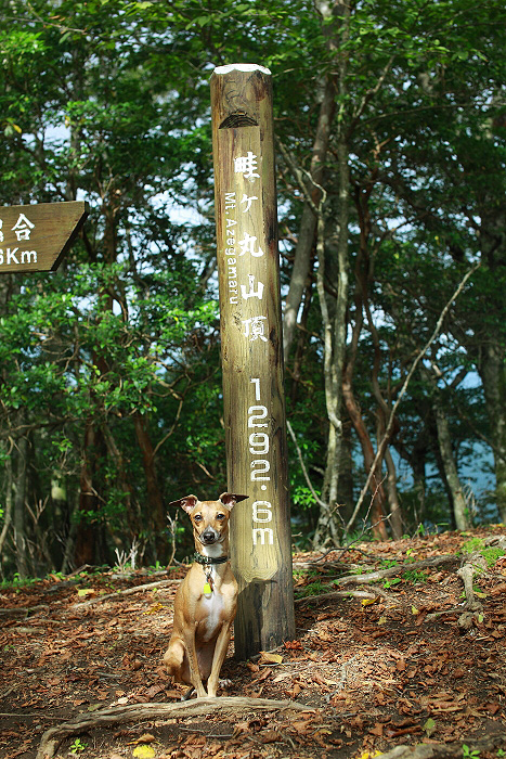 a0148606_21255097.jpg