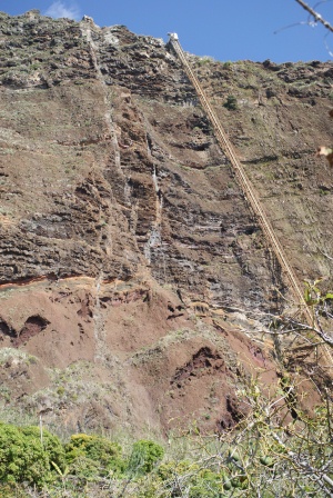 f0144707_9112825.jpg