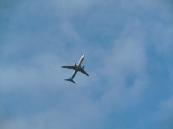 e0087008_1382160.jpg