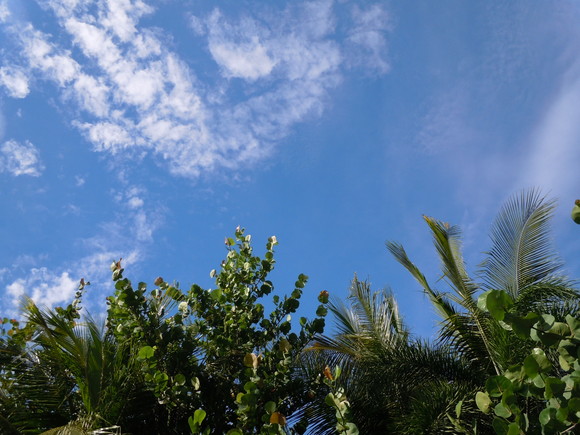 e0087008_1385565.jpg