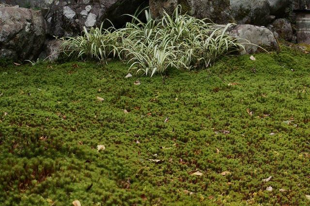 d0154609_1511365.jpg
