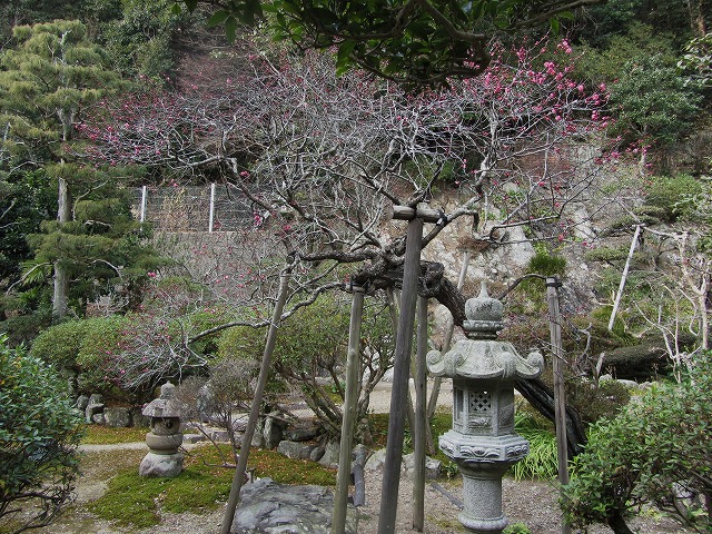 d0154609_1565921.jpg