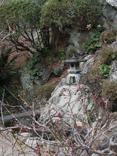 d0154609_159645.jpg