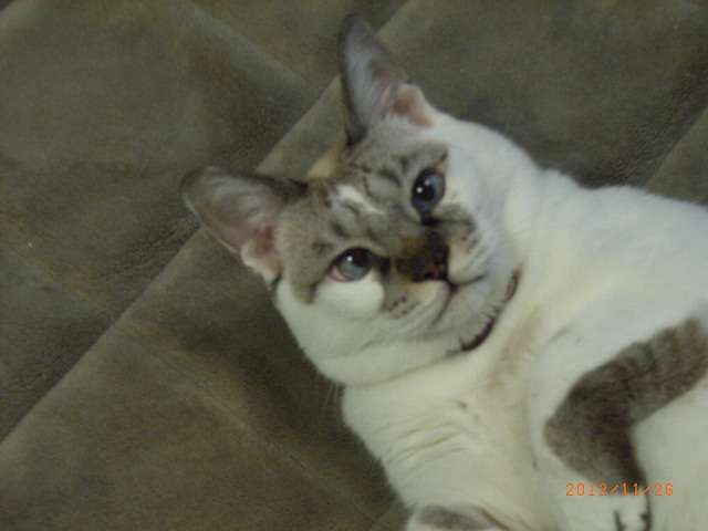 e0144012_13384882.jpg