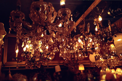 d0063314_05218.jpg